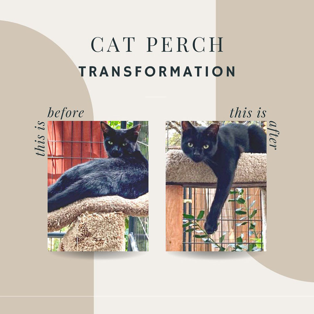 18x12x2" Rectangular Cat Tree Replacement Flat Platform - Made in USA