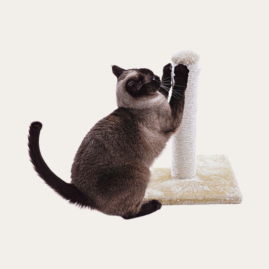 Sisal Rope Wrapped Cat Scratching Replacement Posts - Fits Armarkat | Frisco | Petco's You & Me | Yaheetech | Pet Fusion