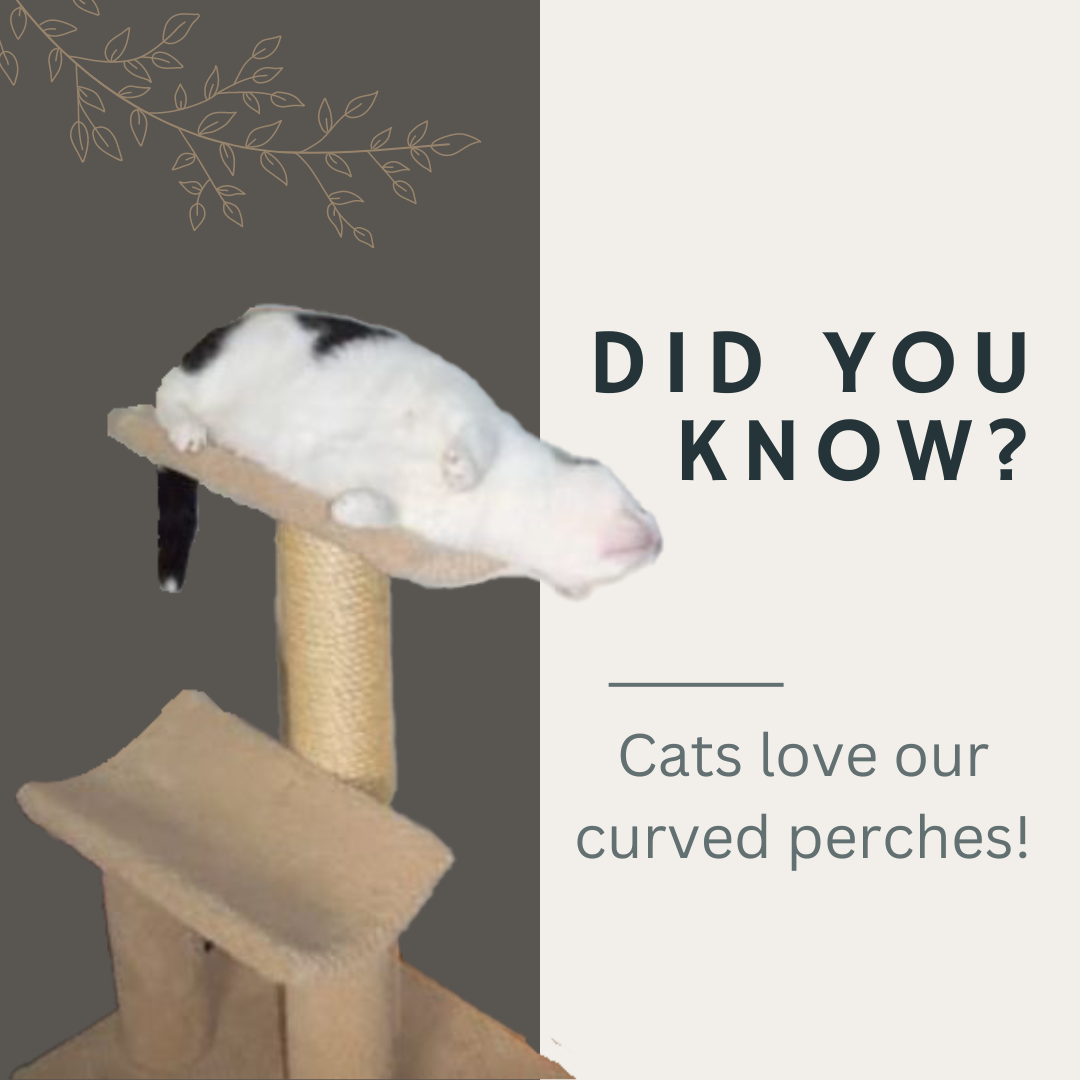 Cat tree top with curved perch