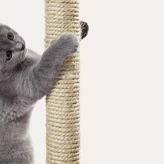 Go Pet | Trixie | Jump | Tiger Tough | Catry | Heybly | Feandrea | BeWise Cat Trees Cat Tree Replacement Post - Sisal Wrapped - 15" to 20.6" Tall