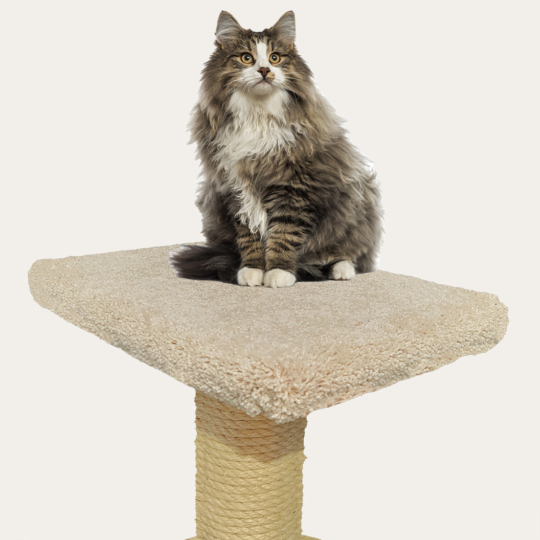 18x12x2 Rectangular Cat Tree Replacement Flat Platform Made In USA 18x12x2 Rectangular Cat Tree Replacement Flat Platform Made In Usa