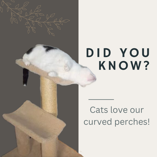 Curved Perch - Fits Most Brands of Cat Trees