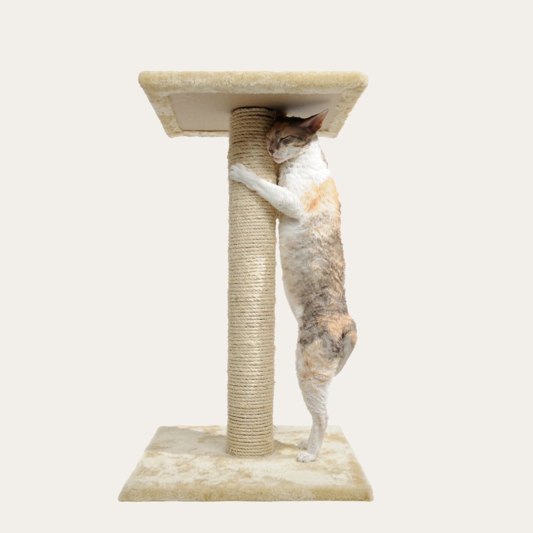 Wrapped Sisal Post to Fit Majestic, Vesper** & Foster/Smith Cat Trees - 11"- 30" Heights Available